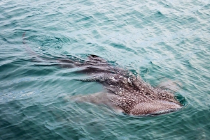 Mu Ko Ang Thong: prywatny czarter na klasycznym tajskim jachcie