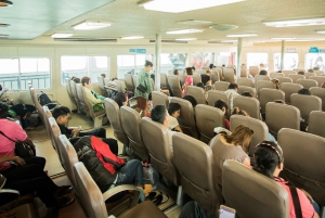 From Koh Samui: One-Way Ferry Transfer to Surat Thani