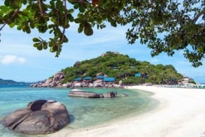 **Paradise Adventure: Escape to Koh Tao from Samui**