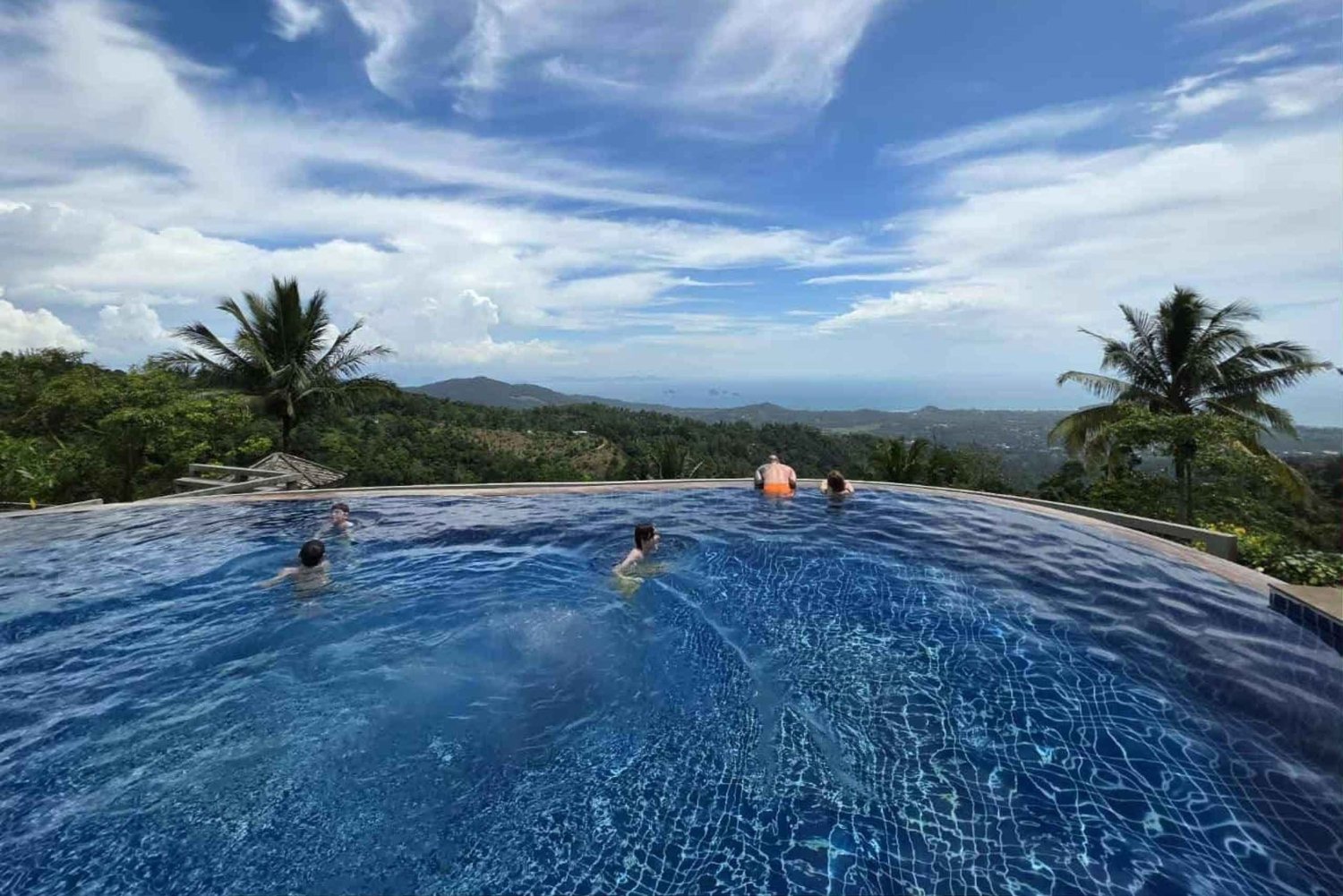 Paradise Park Farm Entry Ticket with Transfer