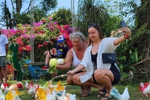 Paradise Park Farmin pääsylippu ja kuljetus