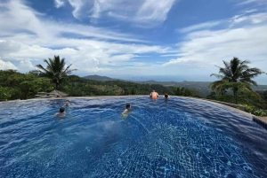 Toegangsbewijs voor Paradise Park Farm met transfer