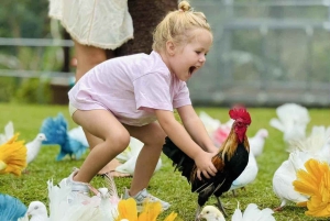 Toegangsbewijs voor Paradise Park Farm met transfer