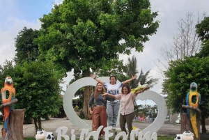 Toegangsbewijs voor Paradise Park Farm met transfer