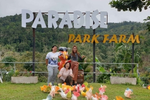 Toegangsbewijs voor Paradise Park Farm met transfer