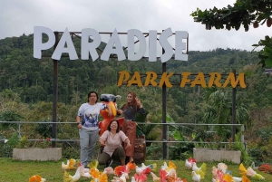 Toegangsbewijs voor Paradise Park Farm met transfer