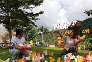 Toegangsbewijs voor Paradise Park Farm met transfer