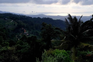 Toegangsbewijs voor Paradise Park Farm met transfer