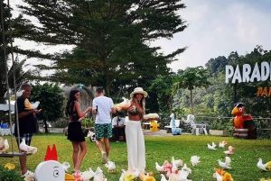 Toegangsbewijs voor Paradise Park Farm met transfer