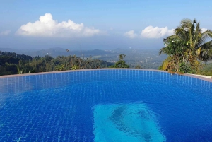 Toegangsbewijs voor Paradise Park Farm met transfer