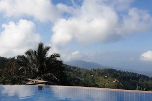 Toegangsbewijs voor Paradise Park Farm met transfer