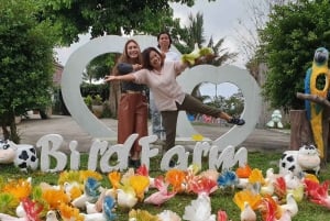 Toegangsbewijs voor Paradise Park Farm met transfer