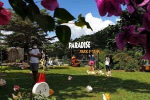 Toegangsbewijs voor Paradise Park Farm met transfer