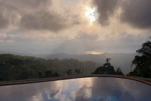 Toegangsbewijs voor Paradise Park Farm met transfer