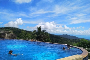 Toegangsbewijs voor Paradise Park Farm met transfer