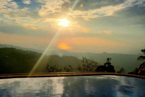 Toegangsbewijs voor Paradise Park Farm met transfer