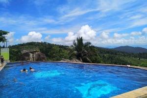 Toegangsbewijs voor Paradise Park Farm met transfer