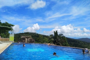 Toegangsbewijs voor Paradise Park Farm met transfer