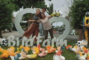 Toegangsbewijs voor Paradise Park Farm met transfer