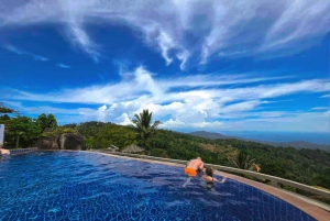 Toegangsbewijs voor Paradise Park Farm met transfer