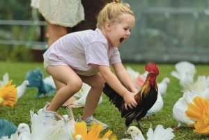 Toegangsbewijs voor Paradise Park Farm met transfer