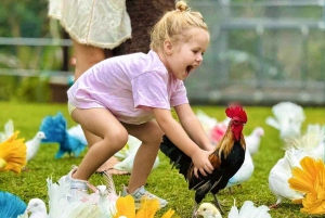 Toegangsbewijs voor Paradise Park Farm met transfer