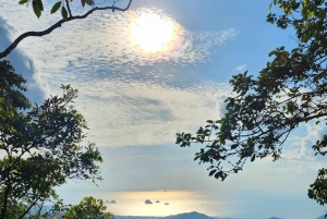 Toegangsbewijs voor Paradise Park Farm met transfer