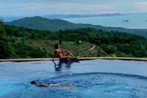 Toegangsbewijs voor Paradise Park Farm met transfer