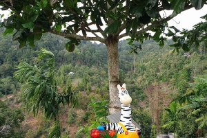 Toegangsbewijs voor Paradise Park Farm met transfer