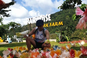 Toegangsbewijs voor Paradise Park Farm met transfer