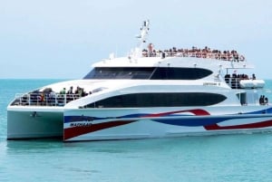 Phuket To Ko Pha Ngan by Coach and High-Speed Catamaran