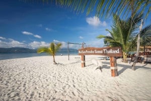 Visite d'une demi-journée de plongée en apnée à Pig Island (Koh Mudsum) et Koh Tan