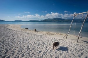 Sika saari (Koh Mudsum) ja Koh Tan puoli päivää snorklauskierros