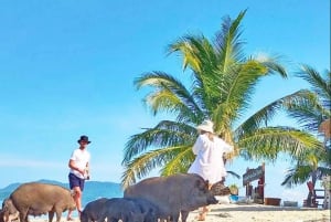 Ko Samui: Pig Island Snorkeling and Koh Tan Speedboat Tour