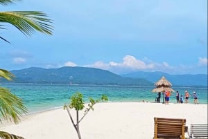 Ko Samui: Pig Island Snorkeling and Koh Tan Speedboat Tour