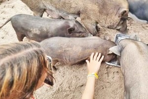 Koh Samui: Koh Mudsum & Koh Tan by Longtail Boat with Lunch