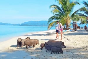 Koh Samui: Koh Mudsum & Koh Tan by Longtail Boat with Lunch