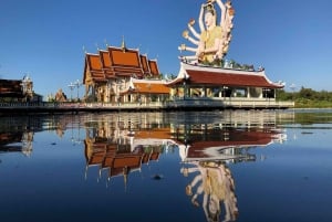 Private Group Half-Day City Tour Around Koh Samui
