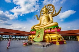Private Group Half-Day City Tour Around Koh Samui