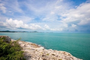 Tour de ville d'une demi-journée en groupe privé autour de Koh Samui