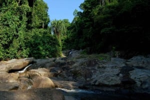 Tour de ville d'une demi-journée en groupe privé autour de Koh Samui