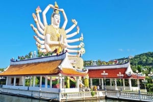 PRIVAT TUR VIP RUNDT PÅ KOH SAMUI HELDAGSTUR