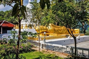 PRIVAT TUR VIP RUNDT PÅ KOH SAMUI HELDAGSTUR