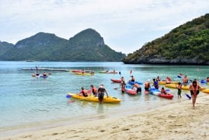 Samui: Båttur til Angthong Marine Park med transfer og måltider