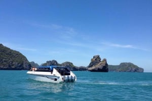 Samui: Angthong National Marine Park dagsudflugt med speedbåd