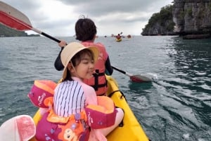 Samui: Angthong National Marine Park dagsudflugt med speedbåd