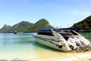 Samui: Angthong National Marine Park dagsudflugt med speedbåd