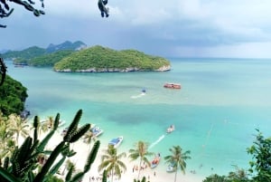 Samui: Angthong National Marine Park dagsudflugt med speedbåd