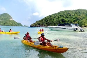 Samui: Angthong National Marine Park dagsudflugt med speedbåd
