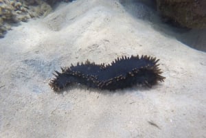 Samui: Angthong National Marine Park dagsudflugt med speedbåd